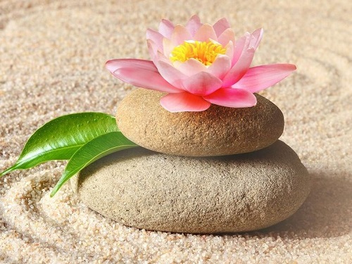 12 правил Дзэн, способные преобразить жизнь