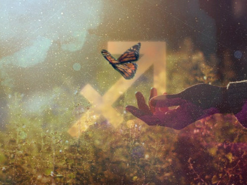 4 главных секрета счастья для Стрельцов