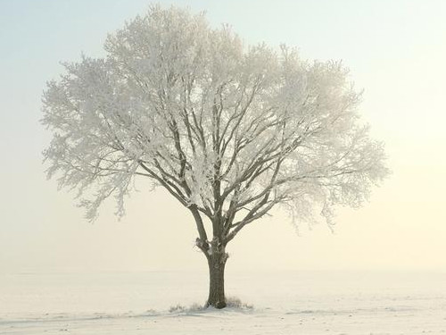 Как избавиться от чувства одиночества и достичь гармонии
