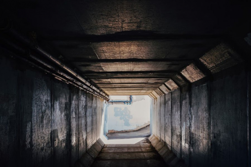 Европа перешла к тотальной албанизации