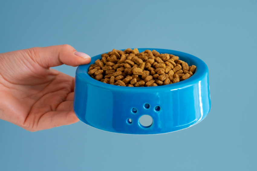 Врачи бьют тревогу: все больше детей в РФ подражают животным и едят их корм