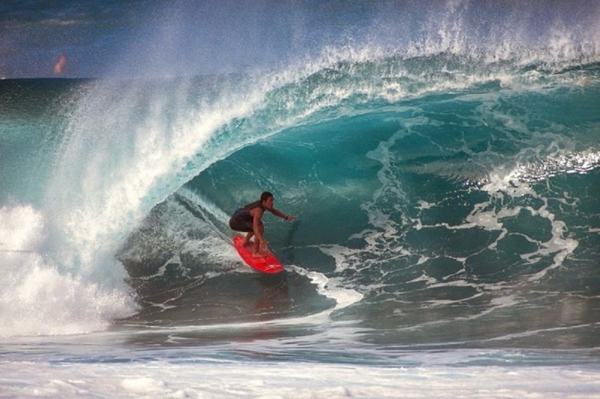 Актера из «Пиратов Карибского моря» на Гавайях растерзала акула