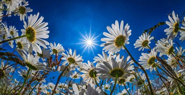 Финогеев день 29 июля 2024 года имеет оригинальные приметы, поверья и традиции