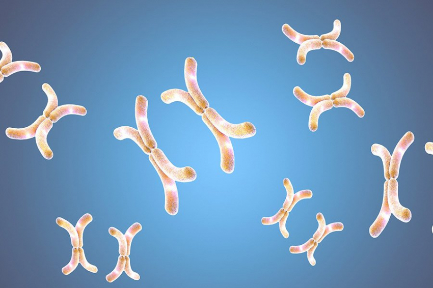 Ученые выявили тысячи вариантов генов с высоким риском развития рака