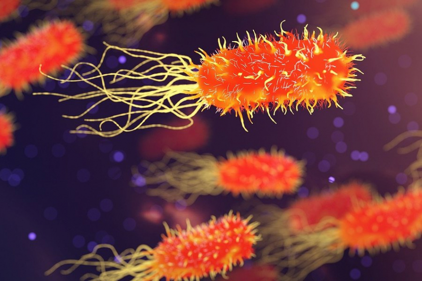 Созданы антибиотики на основе бактерий, выживающих в условиях Антарктиды