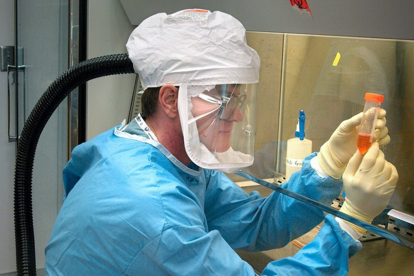 Японские ученые превратили колонию микробов в живой аналог стекла