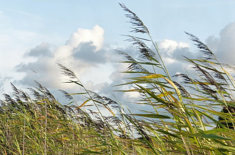 Приметы и поверья на 30 августа 2024 года, по которым можно предугадать погоду осенью