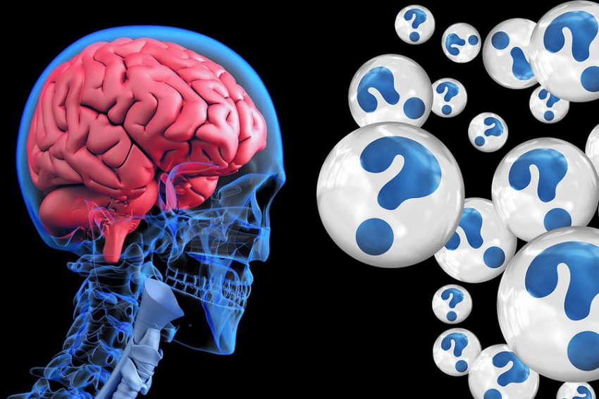 Врач Третьякова: развитие мозга завершается примерно к 25-30 годам