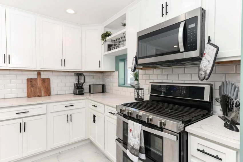 Микроволновки оказались неожиданным прибежищем для разнообразных микроорганизмов