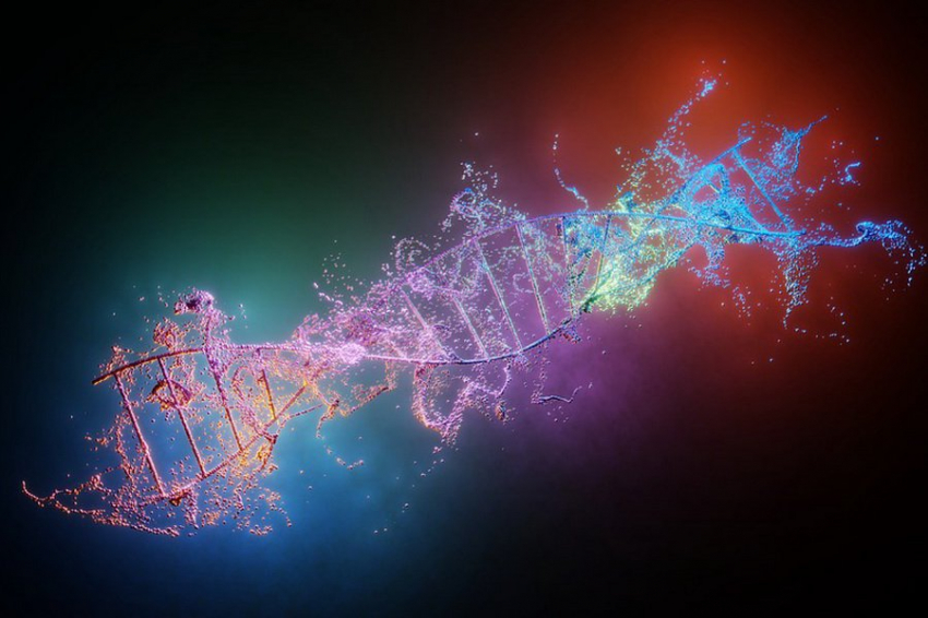 Учеными раскрыт секрет, который способен обратить вспять старение человека