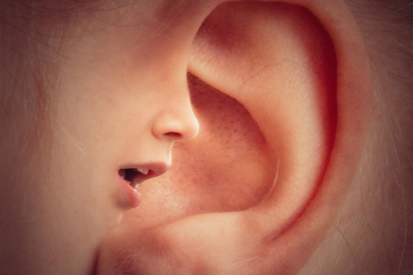 В НГТУ создали прибор для диагностики тугоухости