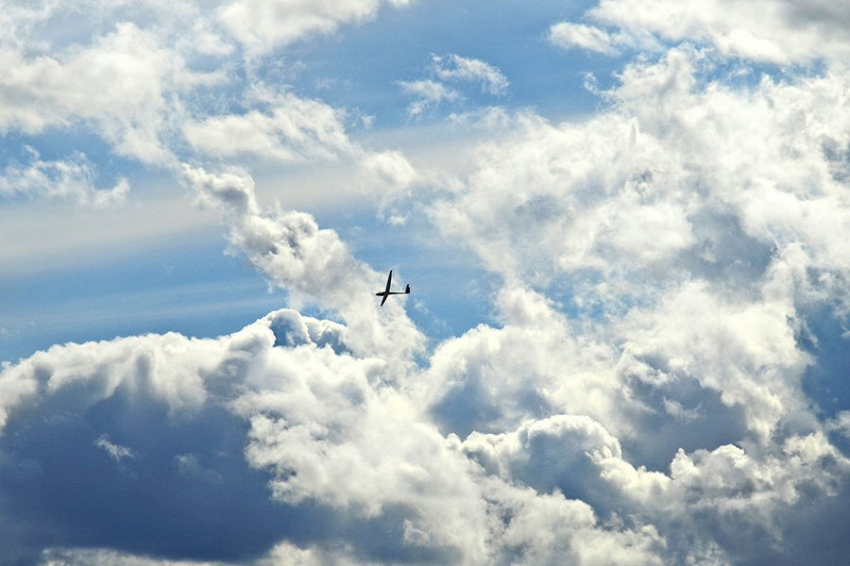 МО: над регионами России за ночь уничтожили два украинских БПЛА