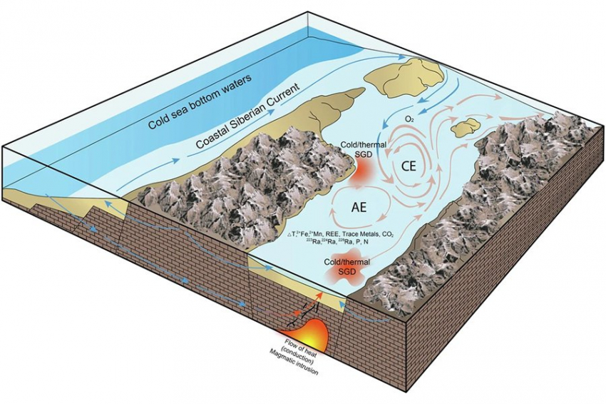 Раскрыты причины появления тепловодного «оазиса жизни» в одном из самых холодных морей мира