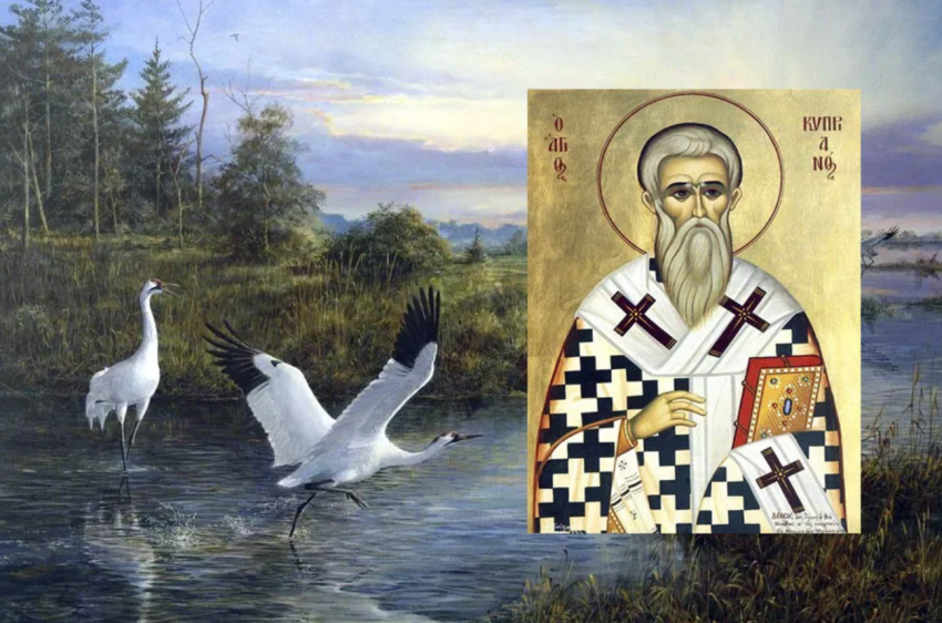 Куприянов день 13 сентября 2024 года: народные приметы и поверья