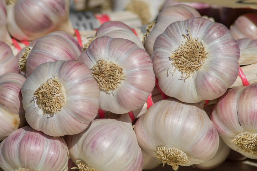 Экстракт запеченного чеснока способен замедлить размножение раковых клеток