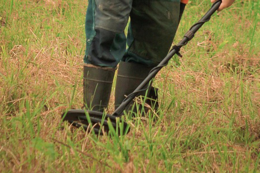 Британский кладоискатель нашел клад кельтских монет стоимостью 2,5 млн рублей