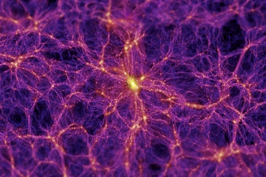 Ученые нашли алгоритм слизевика и «попросили» его построить Вселенную