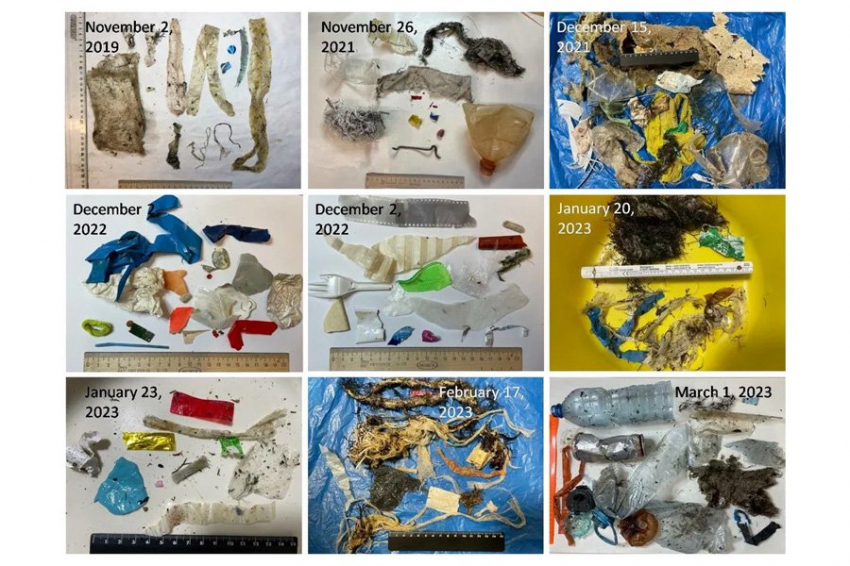 Штормы помогут эффективно собирать мусор с пляжей