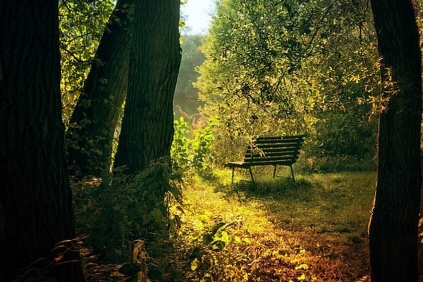 Магнитные бури: кто в зоне риска и как минимизировать их влияние