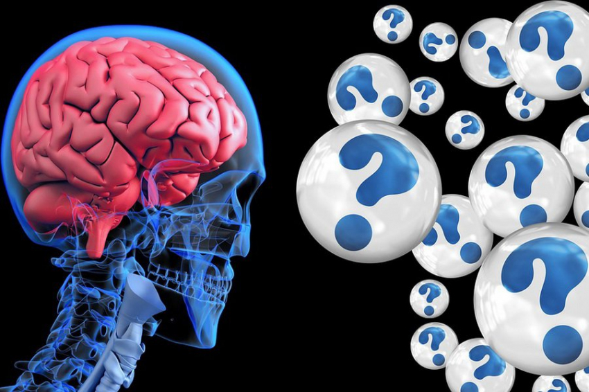 Как мозг различает друзей и врагов: исследование участка CA2 гиппокампа