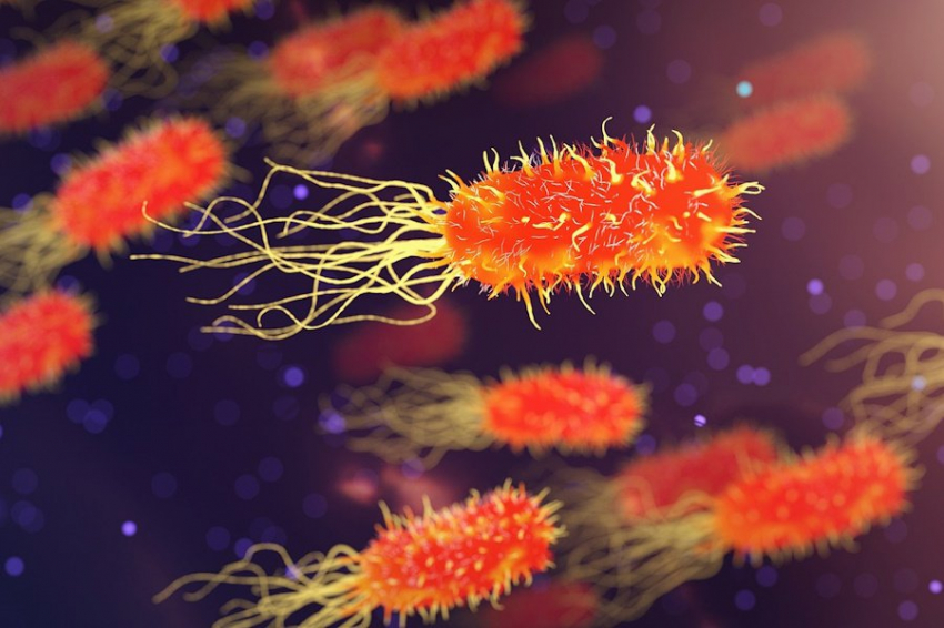 Таинственные бактерии подземных глубин: открытие биологов Томска