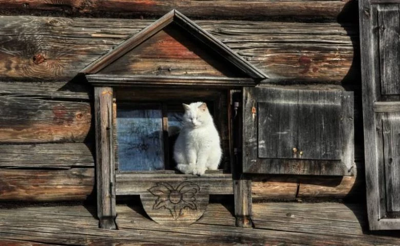 Народные приметы и поверья на 30 ноября, указывающие на изменения в погоде