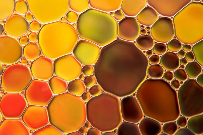 Выявлен механизм влияния пальмового масла на развитие рассеянного склероза