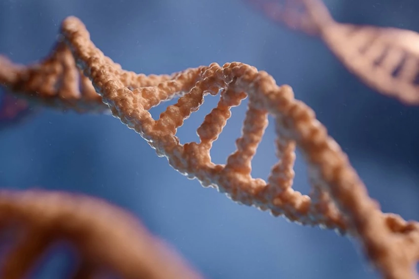 Полногеномное исследование опровергает теорию Геродота о происхождении армян