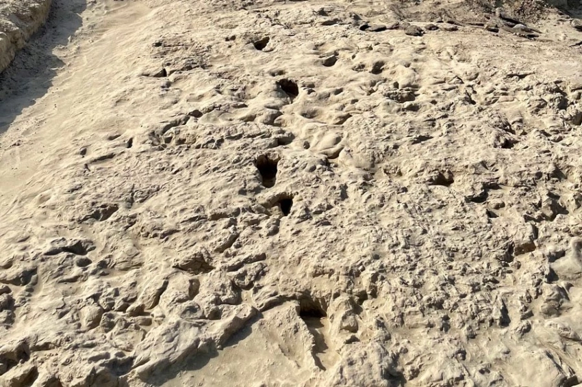 Древние следы фиксируют сосуществование двух видов человеческих предков