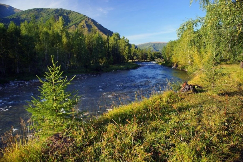 Тают ледники — воды больше? Ученые спорят о будущем Амударьи