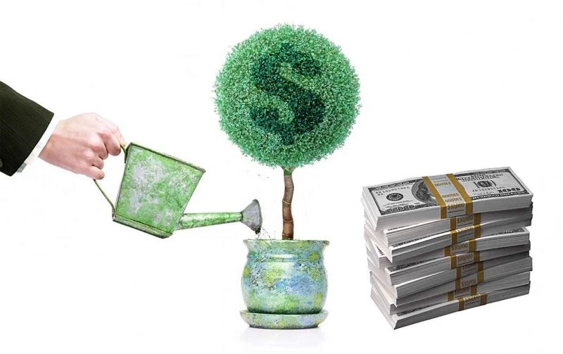 Деньги под контролем: секреты эффективного управления финансами