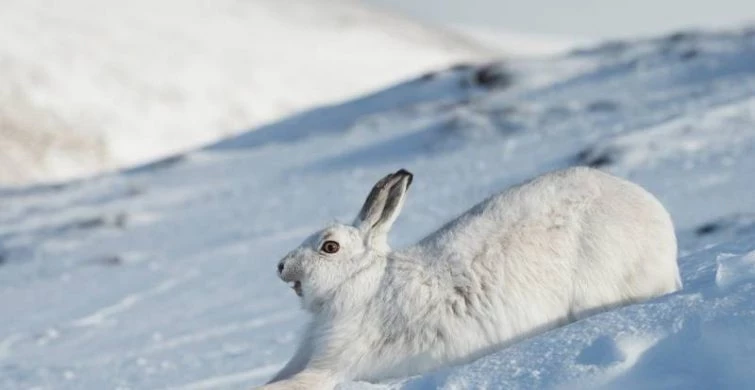 Какой сегодня праздник: 30 января отмечается несколько праздников, какой народный праздник сегодня, 30.01.2025