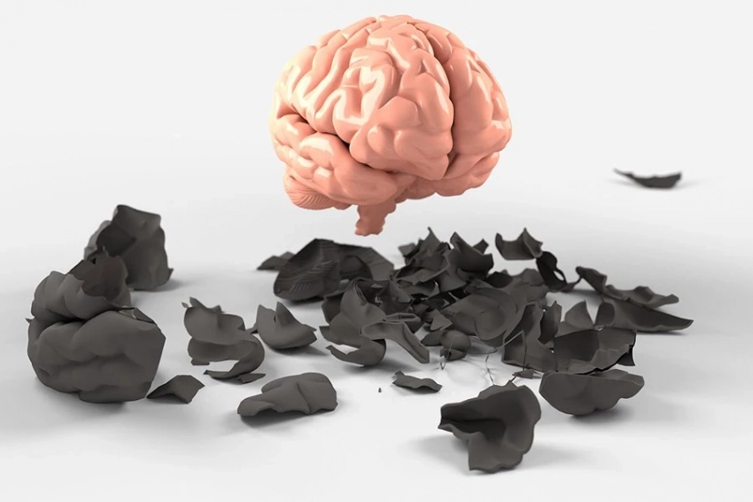 Старение может изменить некоторые клетки мозга больше, чем другие