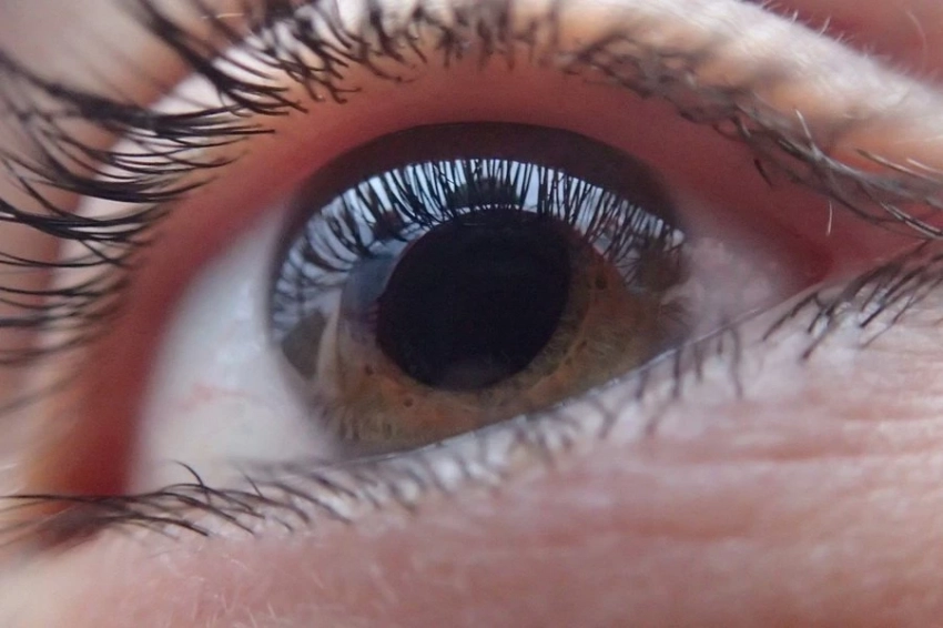 ИИ помог ученым из КНР создать новый препарат для лечения глаукомы