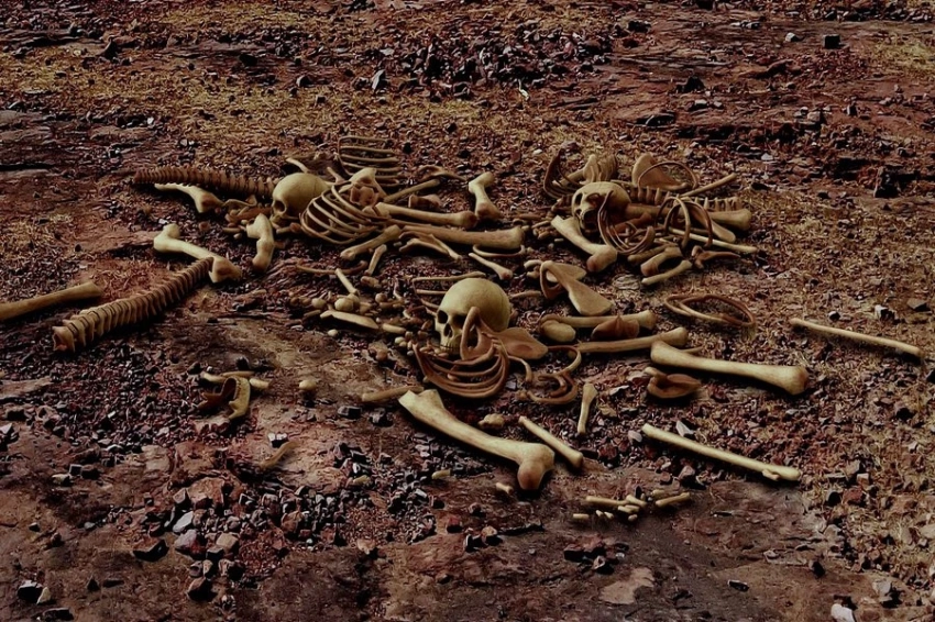 Химик из Бельгии создал ароматизатор запаха костей для поисковых собак