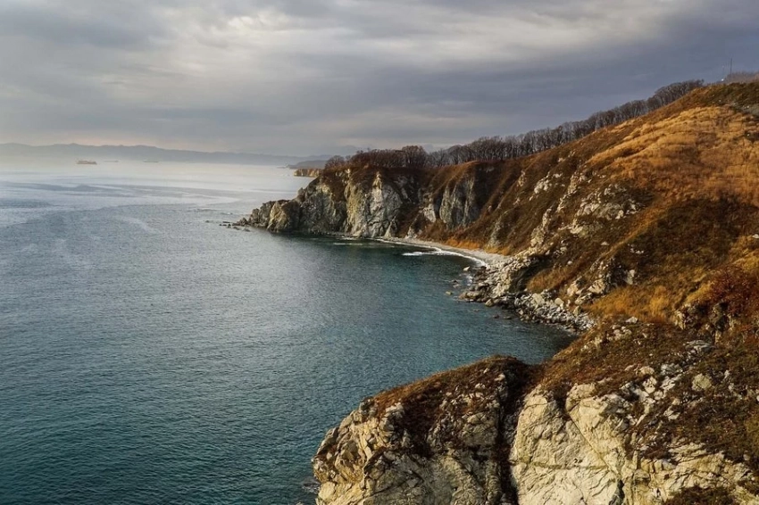 В Приморье нашли свидетельства более мягкого климата в древности