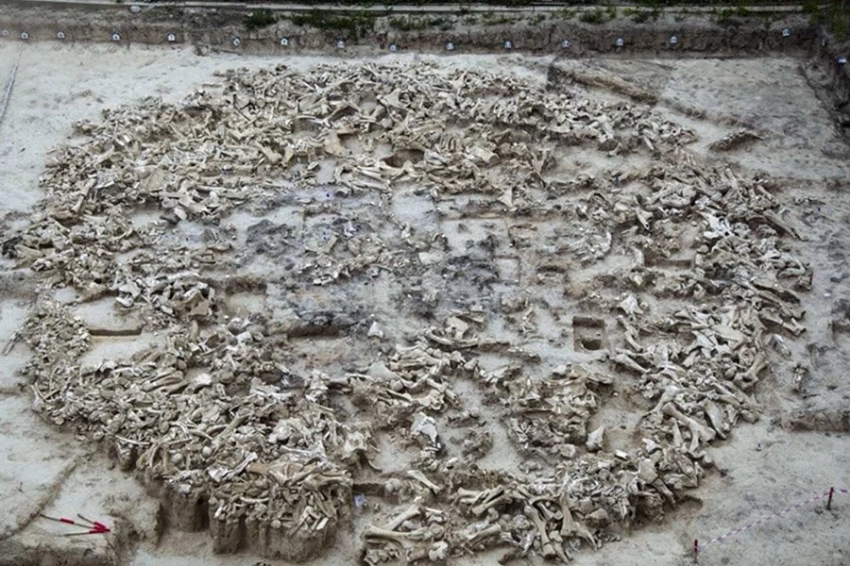 Анализ ДНК дает новое представление о комплексе костей доисторического мамонта