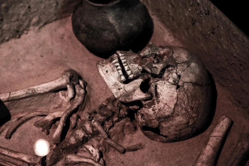 CNN: В Китае найдены останки человека с мозгом больше, чем у современных людей