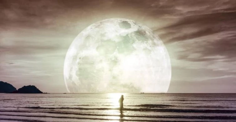 Финансовый прогноз: денежный лунный календарь на февраль 2025 года