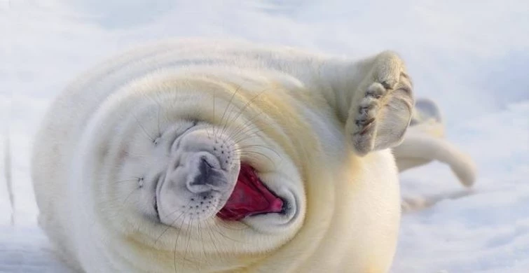 День Федора Поминальника отмечают 8 февраля 2025 года