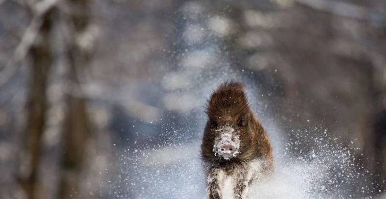 Какой сегодня праздник: 28 февраля отмечается несколько праздников, какой церковный праздник в России сегодня, 28.02.2025