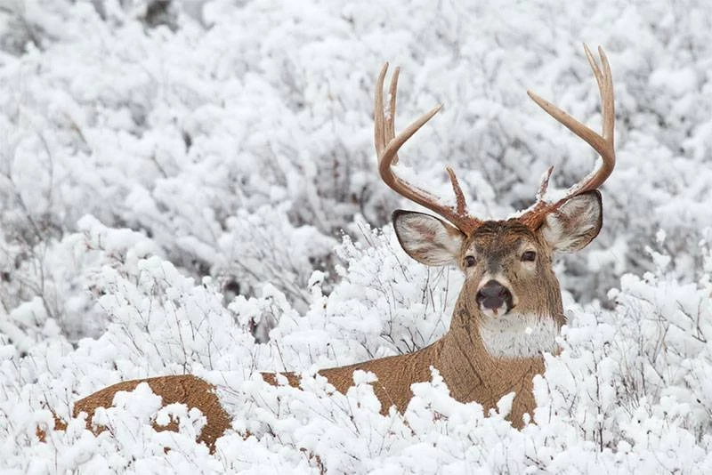 Приметы и поверья на 28 февраля 2025 года: для чего «окликали» звёзды