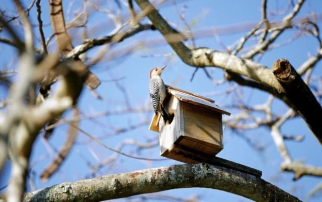 Какой народный праздник издавна отмечается на Руси 11 марта