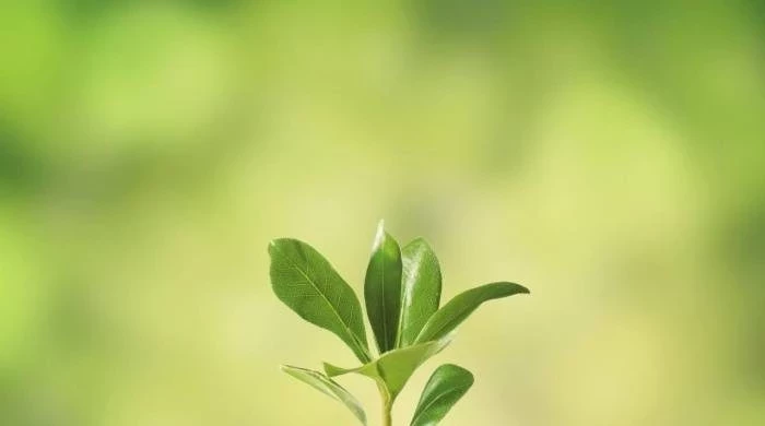 Гороскоп на сегодня, 12 марта 2025 года, для всех знаков Зодиака: точный гороскоп для каждого знака 12.03.2025