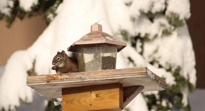 В православном календаре 13 марта 2025 года день почтения памяти преподобного Василия Декаполита