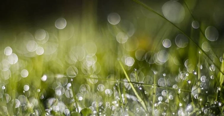 Традиции и обычаи на Василия Капельника 13 марта 2025 года помогут вернуть здоровье