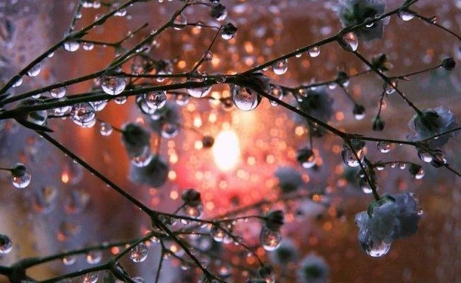 Василий Капельник 13 марта богат на традиции и обычаи