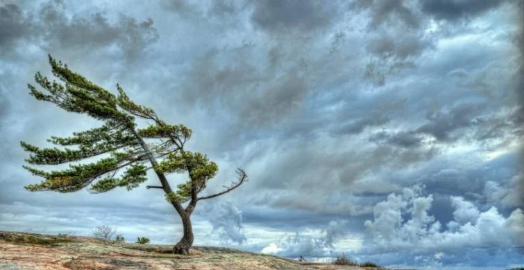 В православном календаре 15 марта 2025 года день почтения памяти святого мученика Феодота Киринейского, епископа