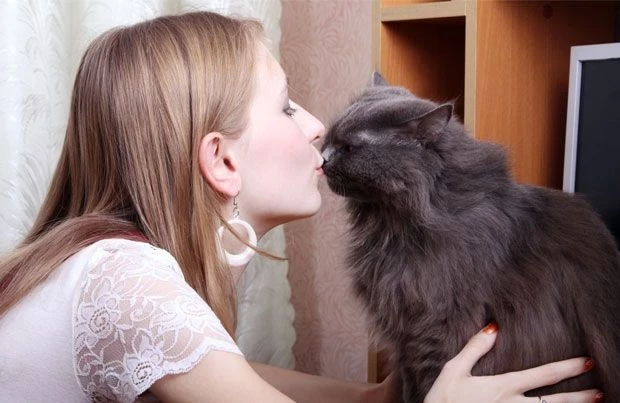 Проявление любви: что на самом деле чувствует кошка, когда ее целует человек