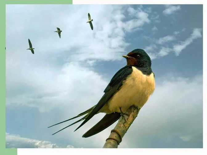 Народные приметы на 22 марта 2025 года расскажут, какой будет погода в ближайшие 40 дней